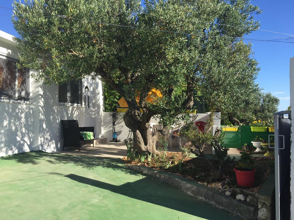 Apartment Greis Razanj Exterior photo